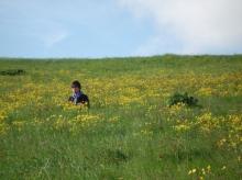 Student in field of flowers in Iceland